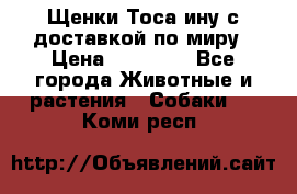 Щенки Тоса-ину с доставкой по миру › Цена ­ 68 000 - Все города Животные и растения » Собаки   . Коми респ.